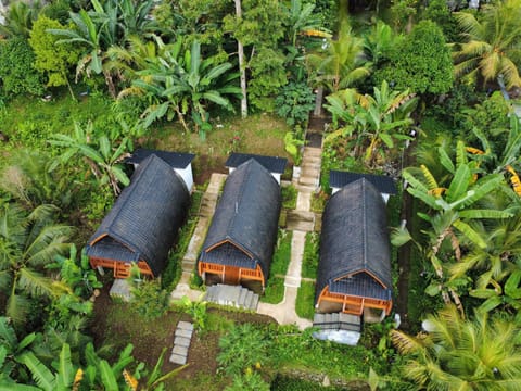 Natural landscape, Garden, Garden view