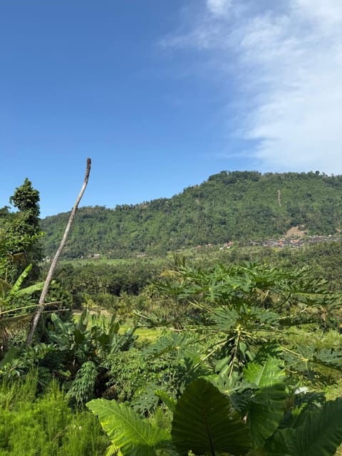 Day, Natural landscape, Mountain view