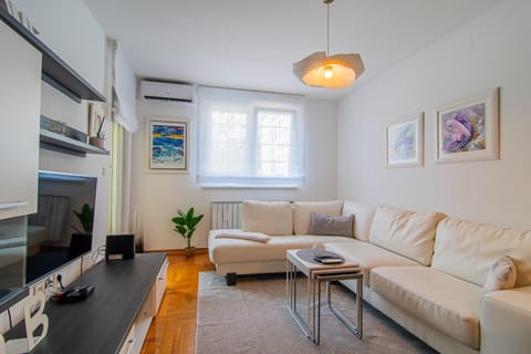 Day, TV and multimedia, View (from property/room), Living room, Decorative detail, Seating area, Family, heating, air conditioner