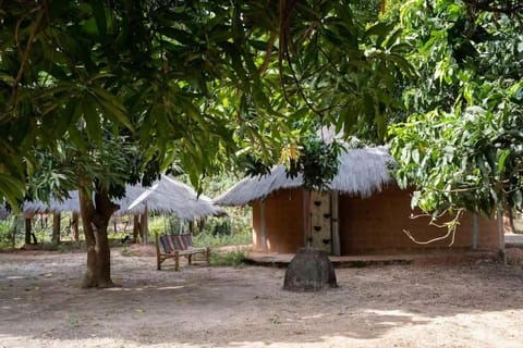 Natural landscape, Garden, Garden view