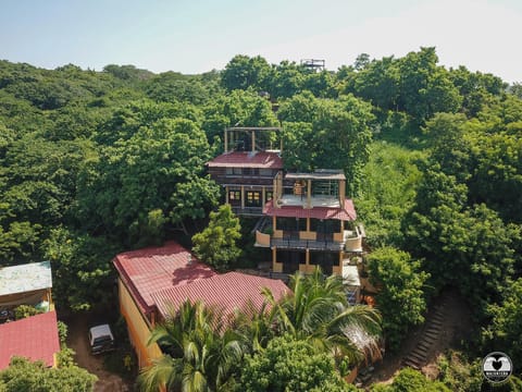 Property building, Natural landscape, Bird's eye view, Decorative detail, Area and facilities