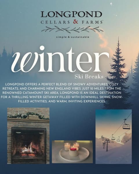 Cottage in the woods House in Lakeville