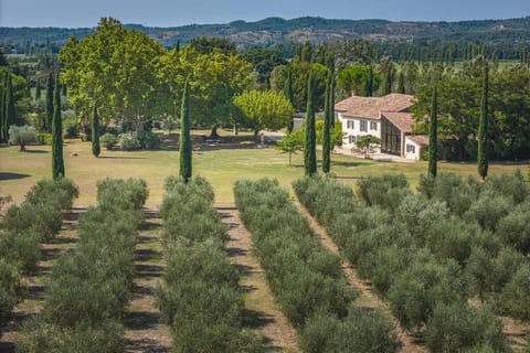 Garden, Mountain view