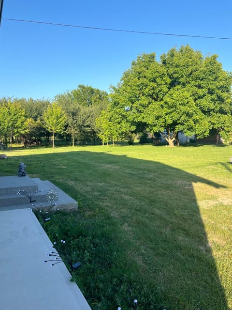 Day, Natural landscape, Garden, Garden view