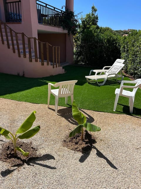 Day, Garden, Garden view