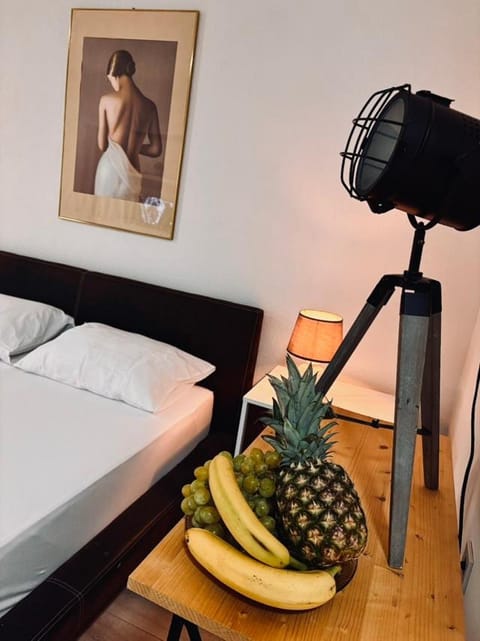 Villa Srna Apartments Apartment in Greater Skopje, North Macedonia