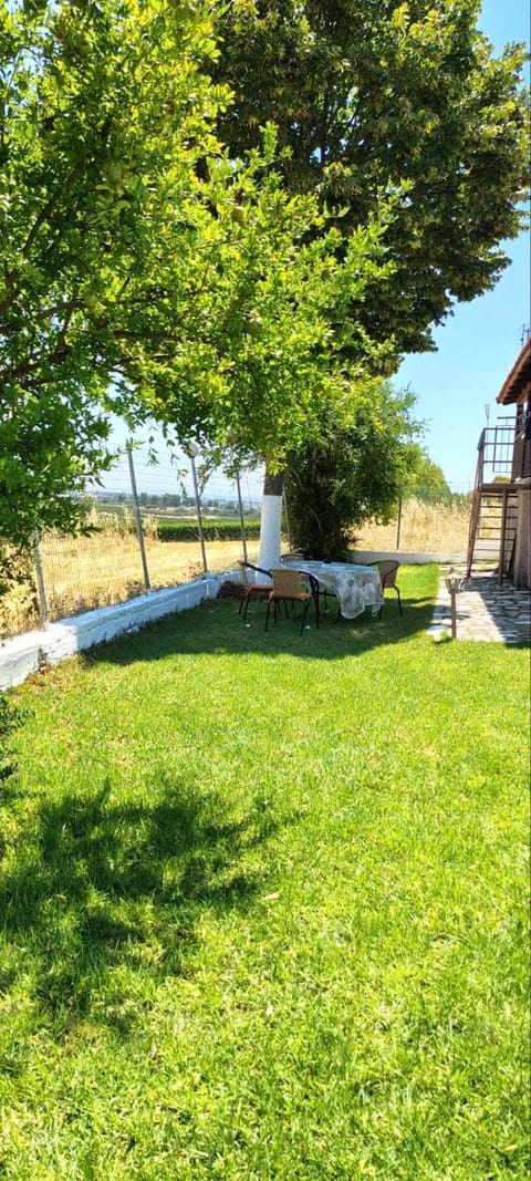 Day, Natural landscape, Garden, Garden view, Inner courtyard view