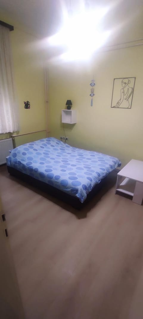Centar Apartman Trivanović sa jednom sobom Apartment in Novi Sad