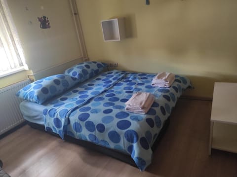Centar Apartman Trivanović sa jednom sobom Apartment in Novi Sad