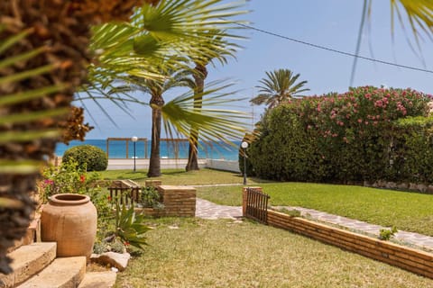 Garden, Other, City view