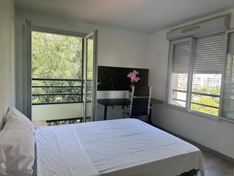 Next to Monaco sea View balcony Apartment in Monaco