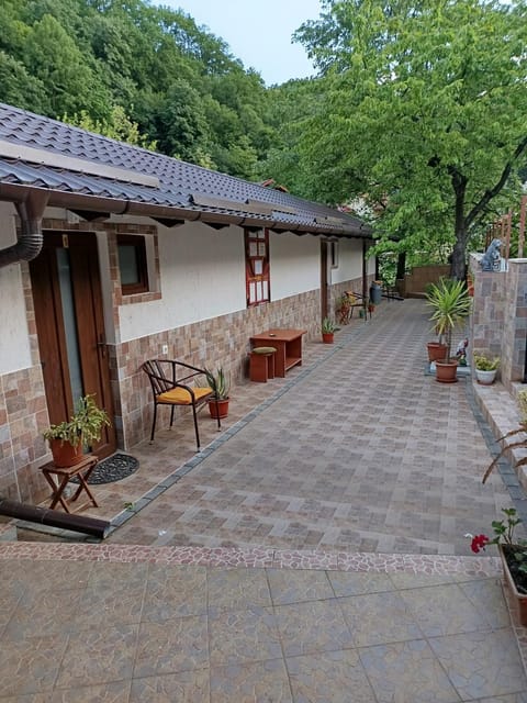 Casa Crina Bed and Breakfast in Serbia
