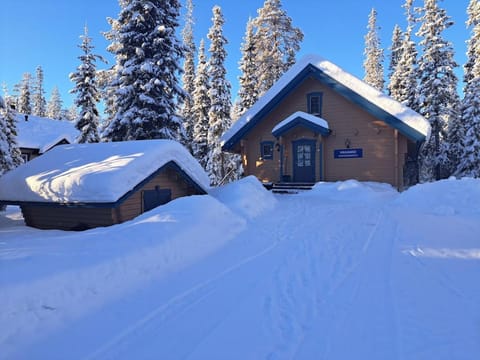 Vanamo Villa in Lapland