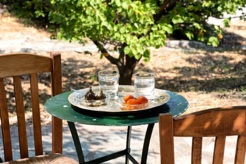 Day, Garden, Food and drinks, Garden view