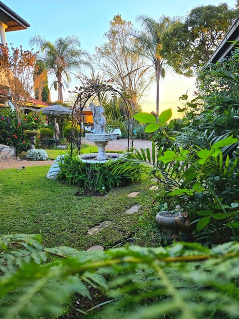 Natural landscape, Garden, Garden view