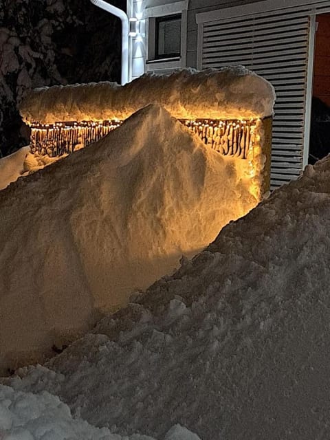 Tellervo Villa in Lapland