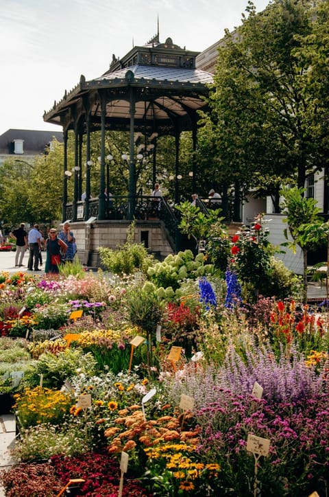 Il Ponte Private Room with Hotel-Style Comfort Apartment in Ghent