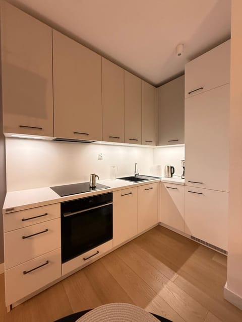 Kitchen or kitchenette, oven, stove