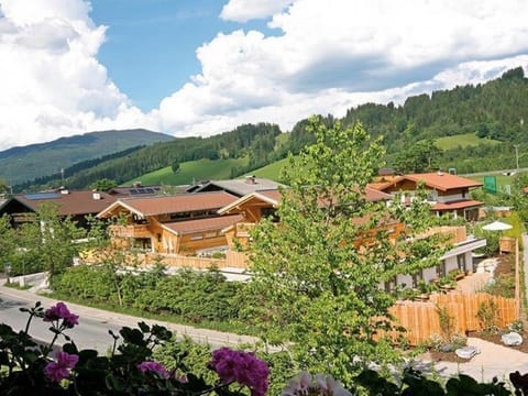 Alpin-Chalet Flachau House in Salzburgerland