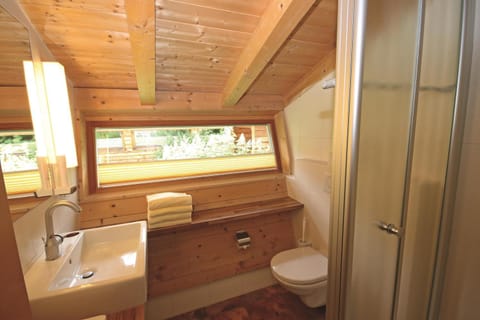 Alpin-Chalet Flachau House in Salzburgerland