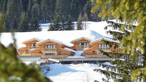 Alpin-Chalet Flachauwinkl House in Salzburgerland