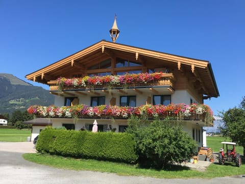 Property building, Garden view