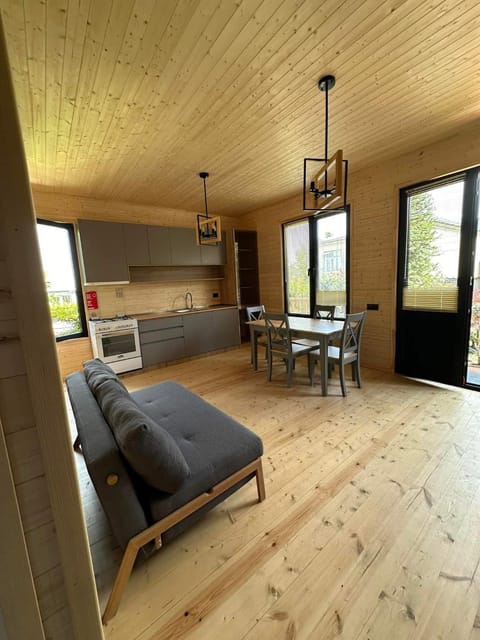 Kitchen or kitchenette, Living room, Seating area