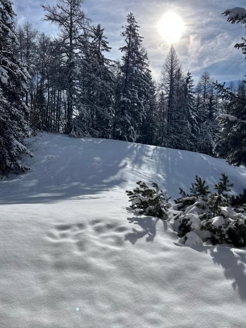 Mountain View perfect retreat in Crans Apartment in Sierre