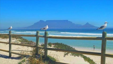 Mountain view, Sea view