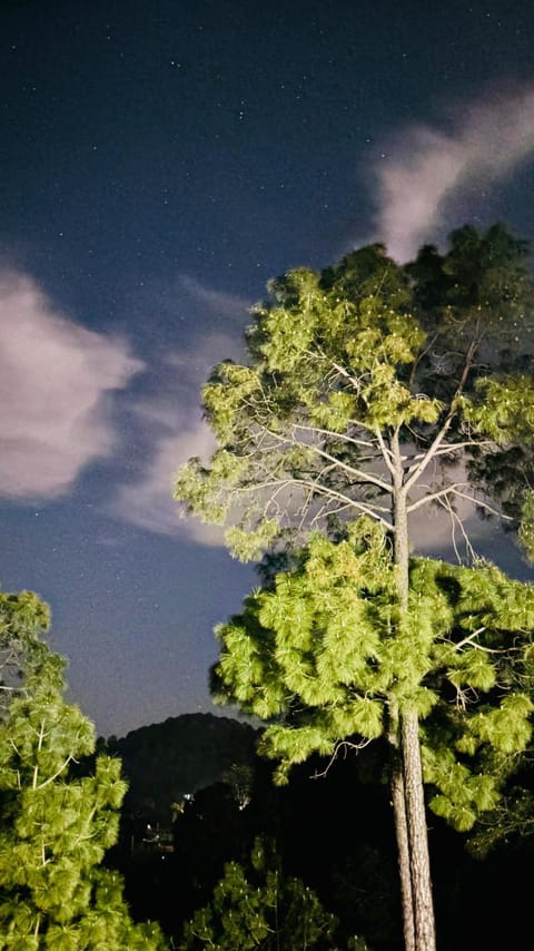 Night, Mountain view