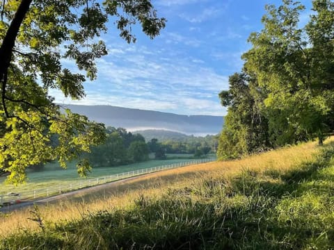 The Honeycomb House House in Chattanooga