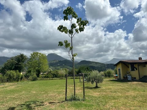 Natural landscape, Garden, Garden view, Mountain view
