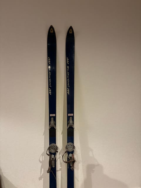 Mountain&View Apartment in Besse-et-Saint-Anastaise