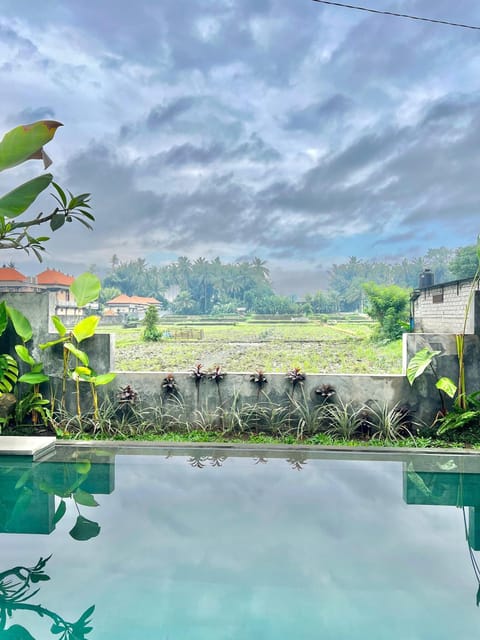 Day, Natural landscape, Garden, Garden view, Pool view, Swimming pool, Swimming pool