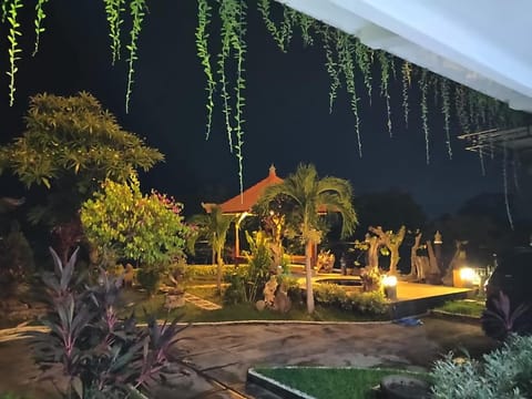 Night, Garden, Garden view