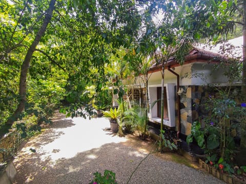 Property building, Spring, Day, Garden view