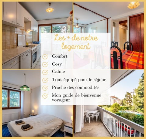 Chez Driss I T3 I Annecy Apartment in Annecy