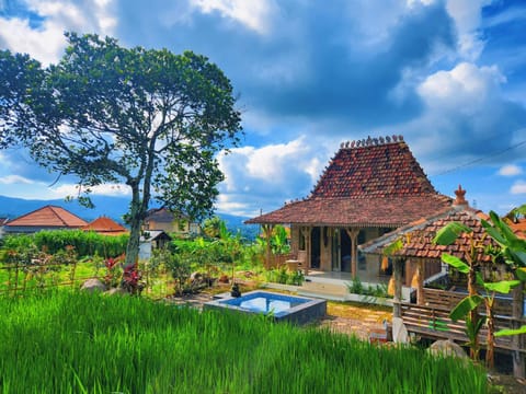 Garden view, Landmark view