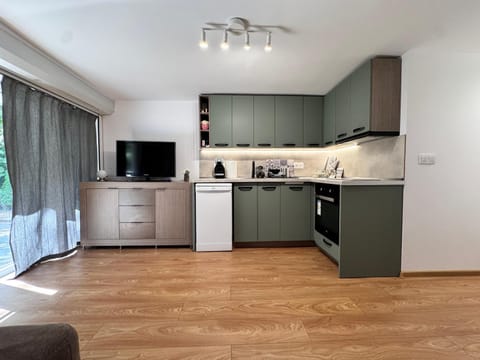 Kitchen or kitchenette, dishwasher, oven