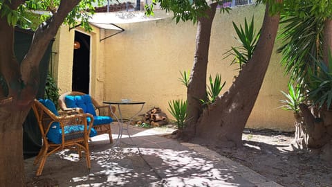 Patio, Garden, Garden view