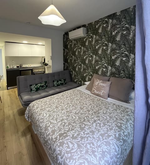 Bed, Kitchen or kitchenette, Living room, Photo of the whole room, Bedroom