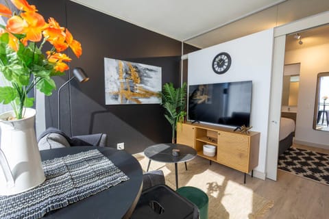 TV and multimedia, Living room, Seating area, Evening entertainment