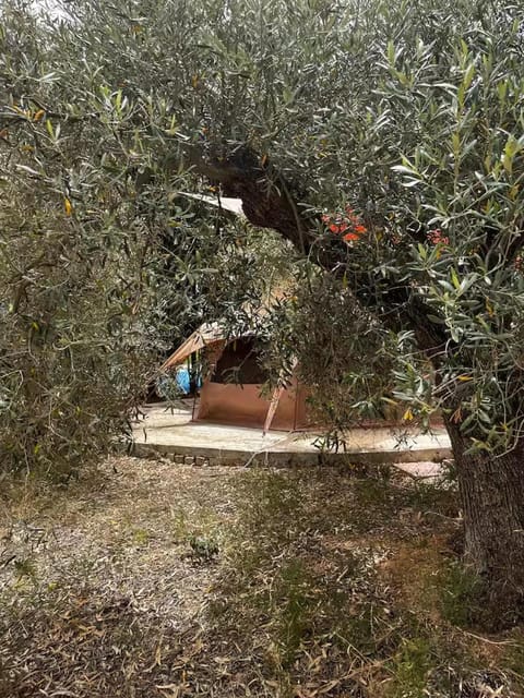 Natural landscape, Garden view