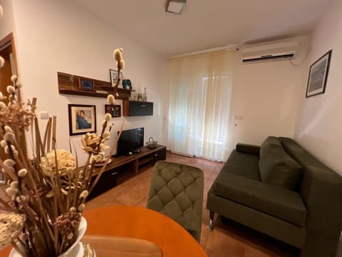 TV and multimedia, air conditioner