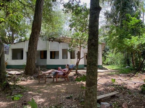 Property building, Day, Natural landscape, Garden