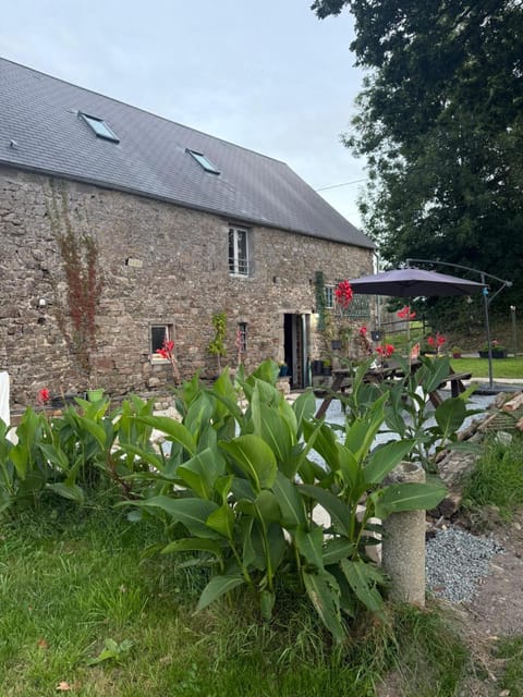 Property building, Garden, Garden view