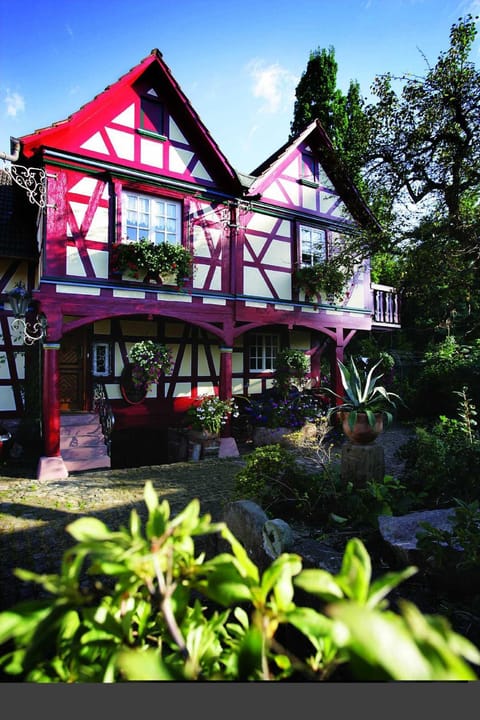 Property building, Garden view