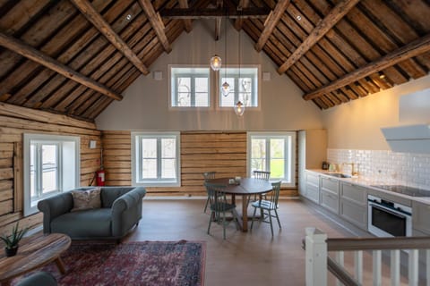 Kitchen or kitchenette, Living room, Seating area, Dining area, stove