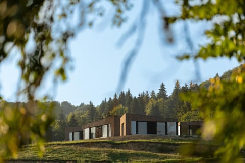 Property building, Spring, Day, Natural landscape