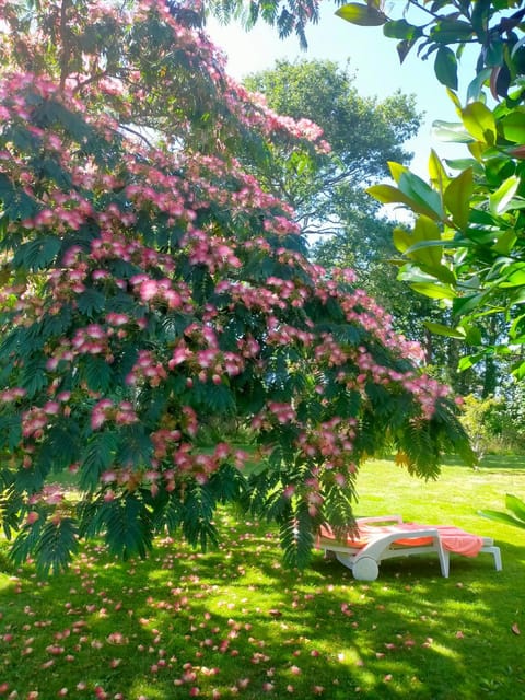 Chez Coco Bed and Breakfast in Concarneau